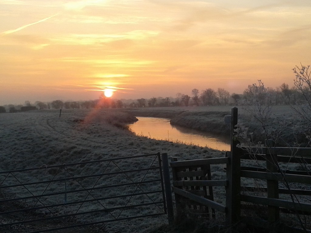 Frosty morning on The Levels